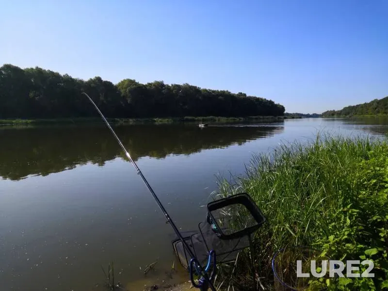 Wels catfish, Crucian carp — Don, Aug 24, 2018