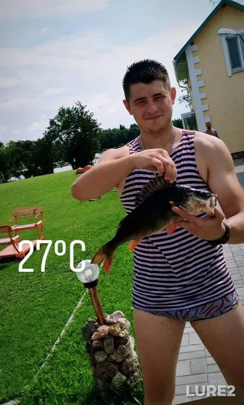 Perch, Tench — Sumovka, Aug 02, 2018