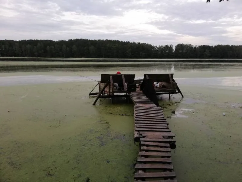 Лещ