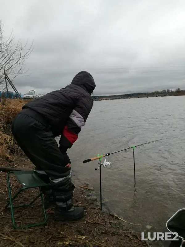 Bream, Roach — Vyacha, Jan 11, 2020