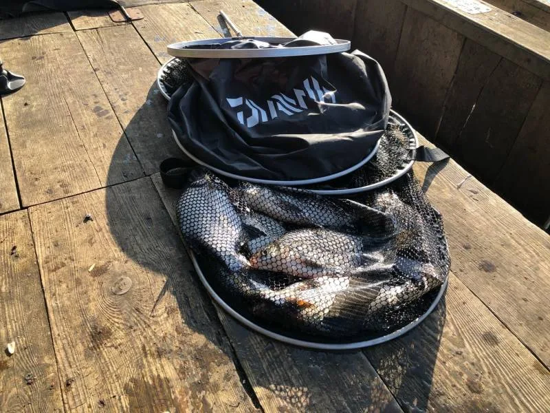 Лещ