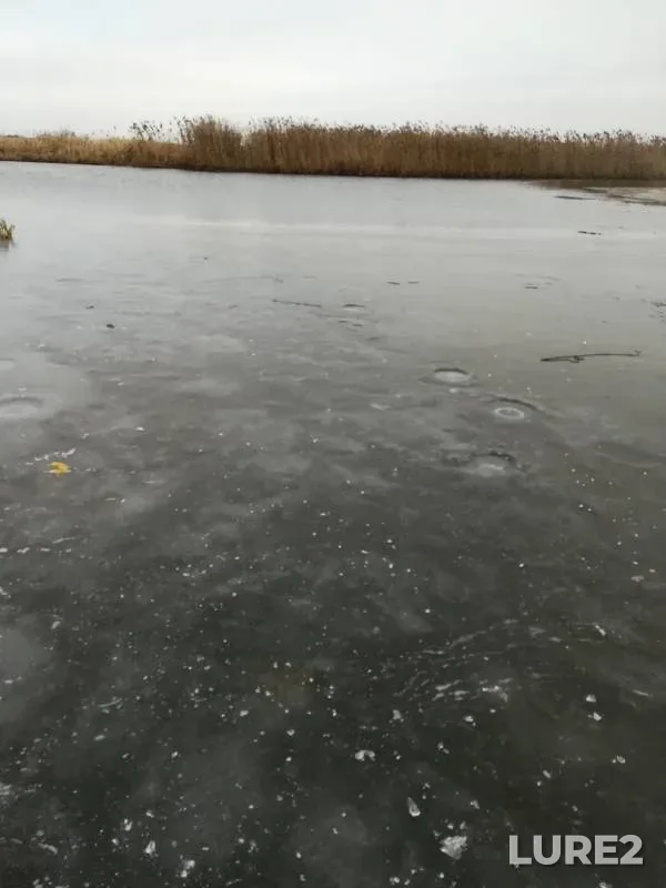 Perch, Roach — Chernoochka, Dec 07, 2019