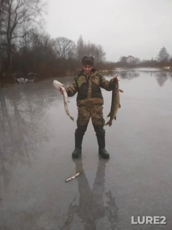 Pike — Chapa, Jan 10, 2020