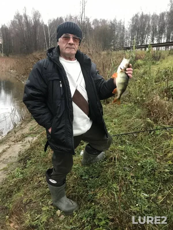 Perch — Shumilovskoye, Feb 29, 2020