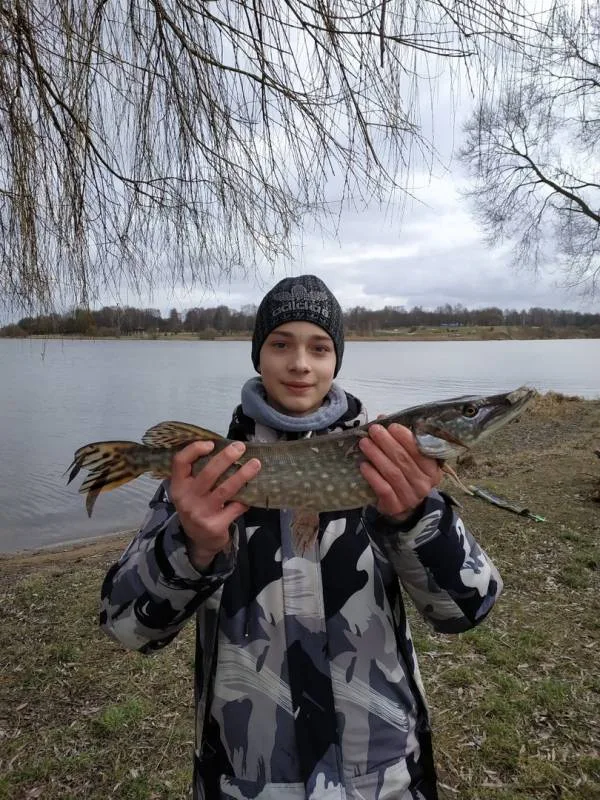 Щука