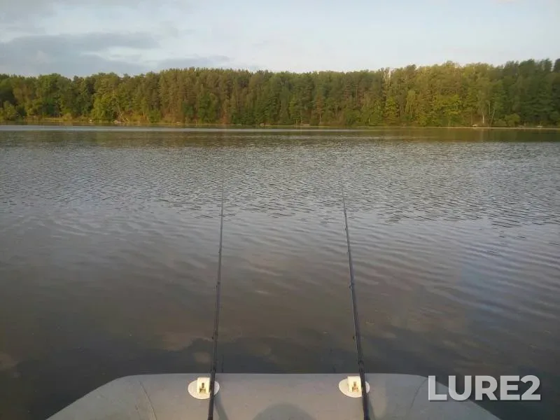 Bream — Svisloch, Jul 18, 2019