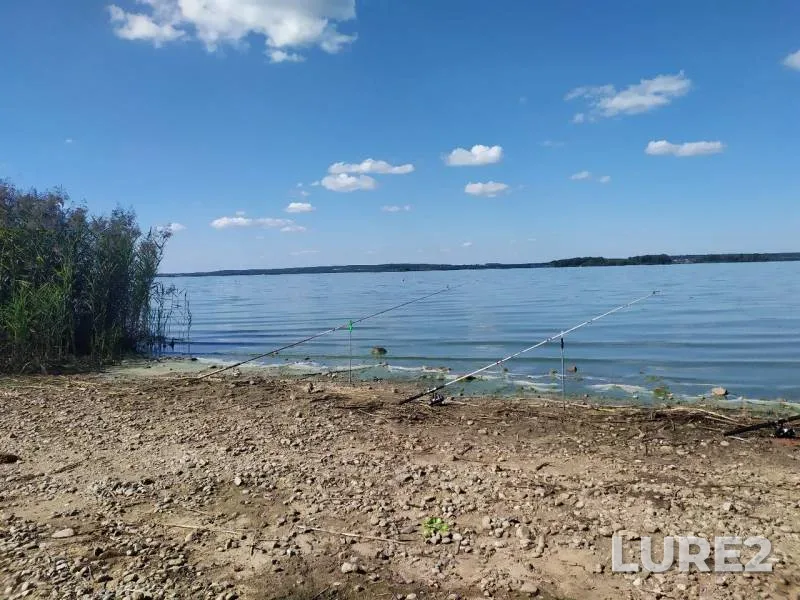Bream, Perch — Zaslavskoye, Aug 18, 2019