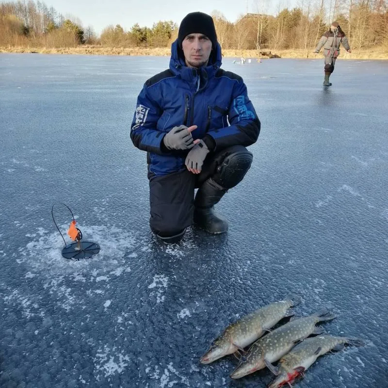 Щука