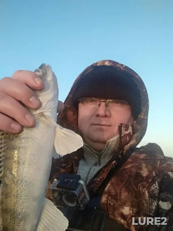 Zander — Samarskaya oblast, Dec 26, 2019