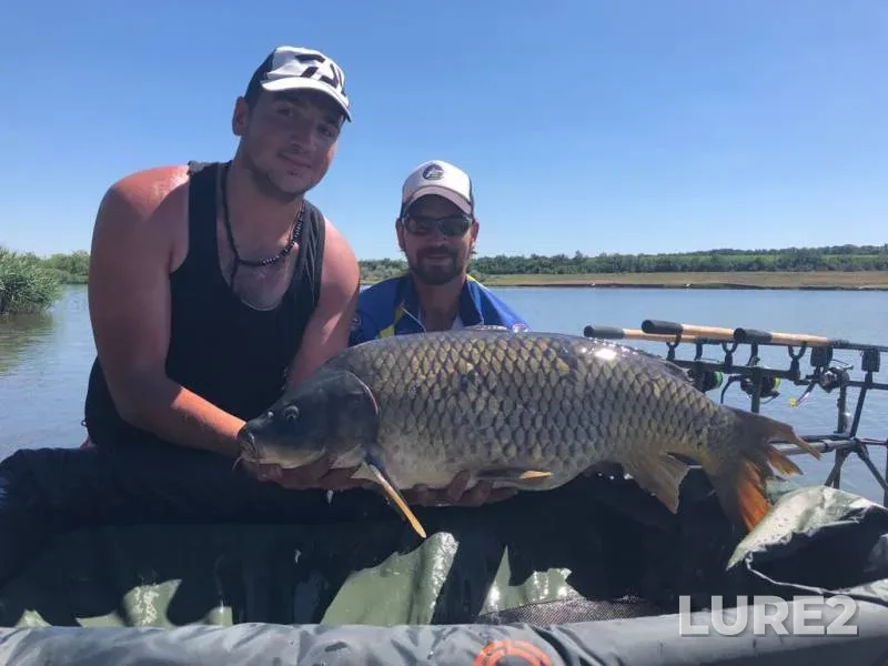 Carp — Dnіpropetrovska oblast, Jun 10, 2018
