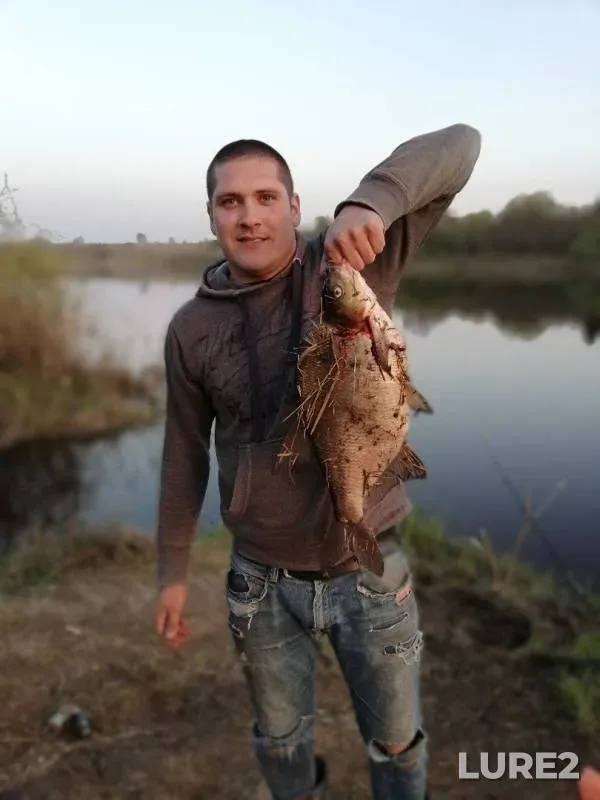 Bream — Zapadnaya Dvina, Apr 30, 2019