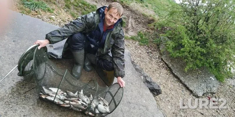 Burbot, Zander — Lukomlskoye, May 07, 2019