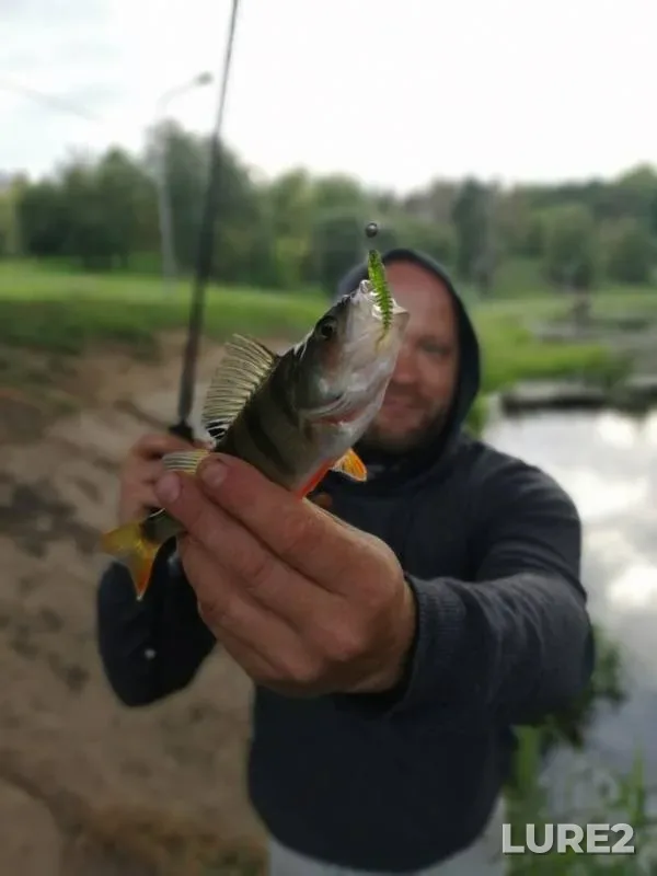Perch — Vitba, Sep 07, 2019