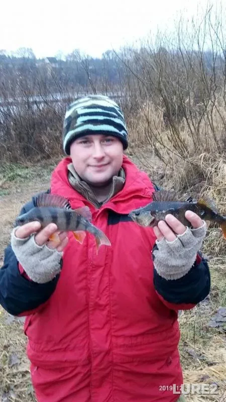 Burbot, Crucian carp — Zapadnaya Dvina, Dec 29, 2019