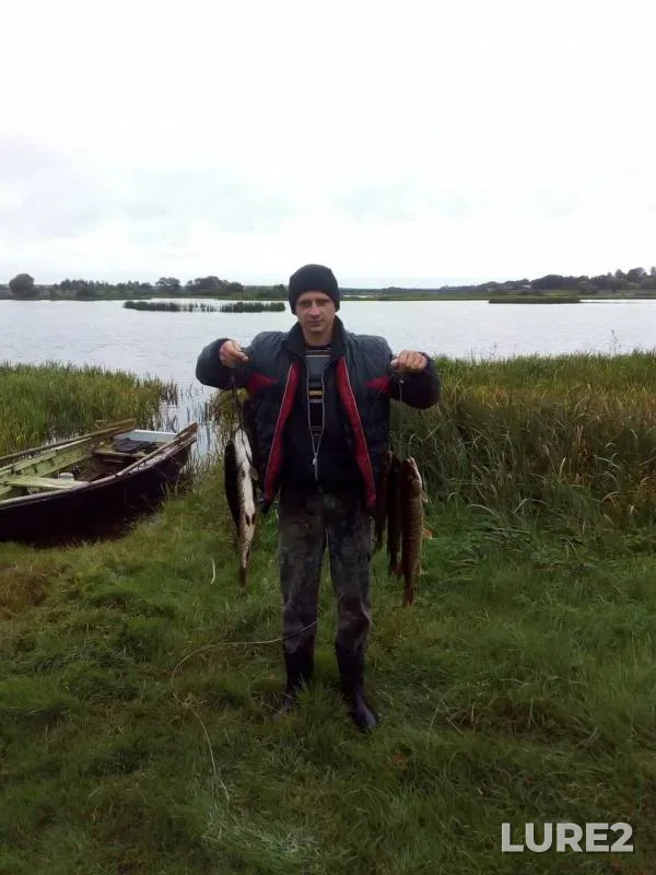 Pike — Iliya, Sep 21, 2017