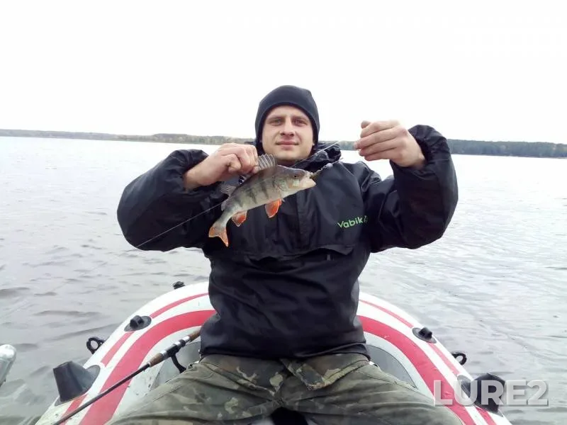 Perch — Iliya, Oct 09, 2017