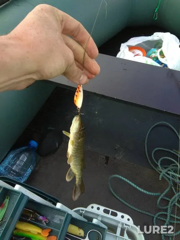 Pike — Iliya, Jun 29, 2018