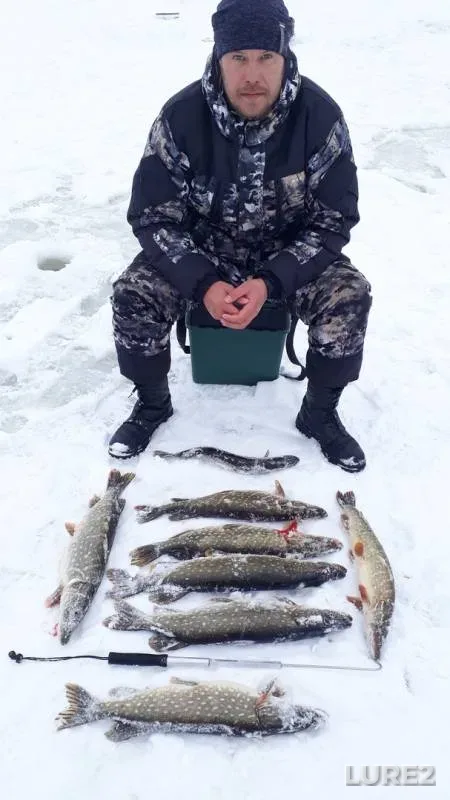 Pike — Servech, Jan 29, 2019