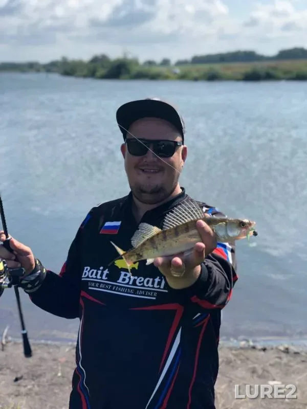 Pike — Kemerovskaya oblast, Aug 02, 2019