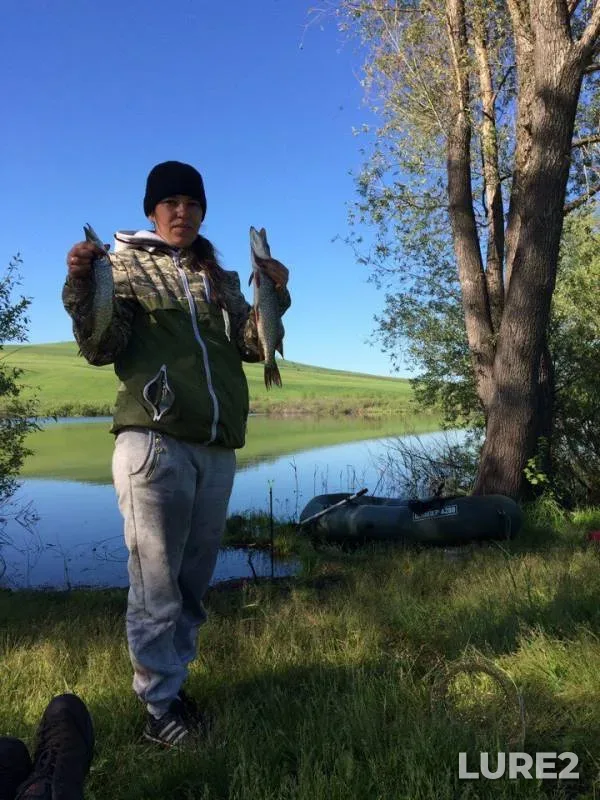 Pike — Altayskiy kray, Jun 04, 2017