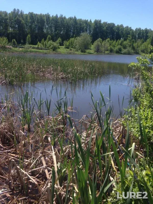 Perch — Podgornoye-1, May 27, 2017