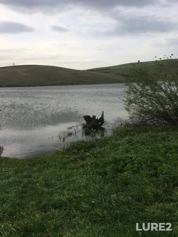 Perch, Tench — Babyrgan, May 24, 2017