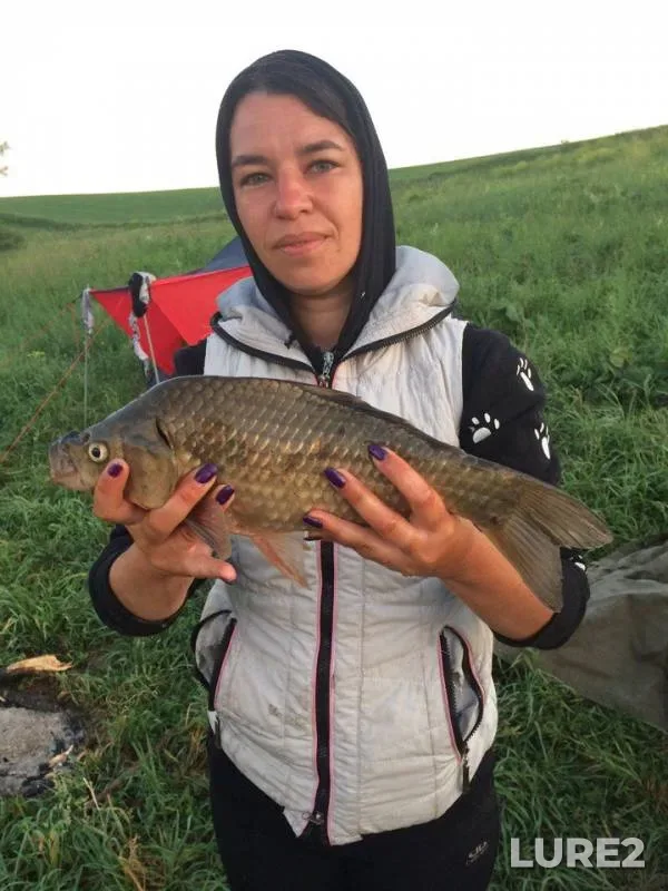 Crucian carp, Pike — Altayskiy kray, Jun 18, 2017