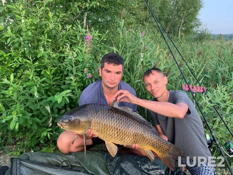Carp — Chelyabinskaya oblast, Jul 26, 2019