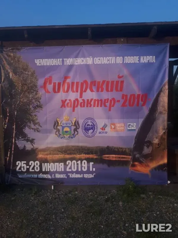 Carp — Chelyabinskaya oblast, Jul 26, 2019
