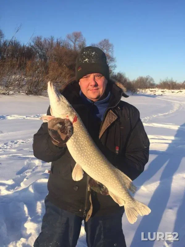 Bream, Burbot — Pyshma, Feb 19, 2017