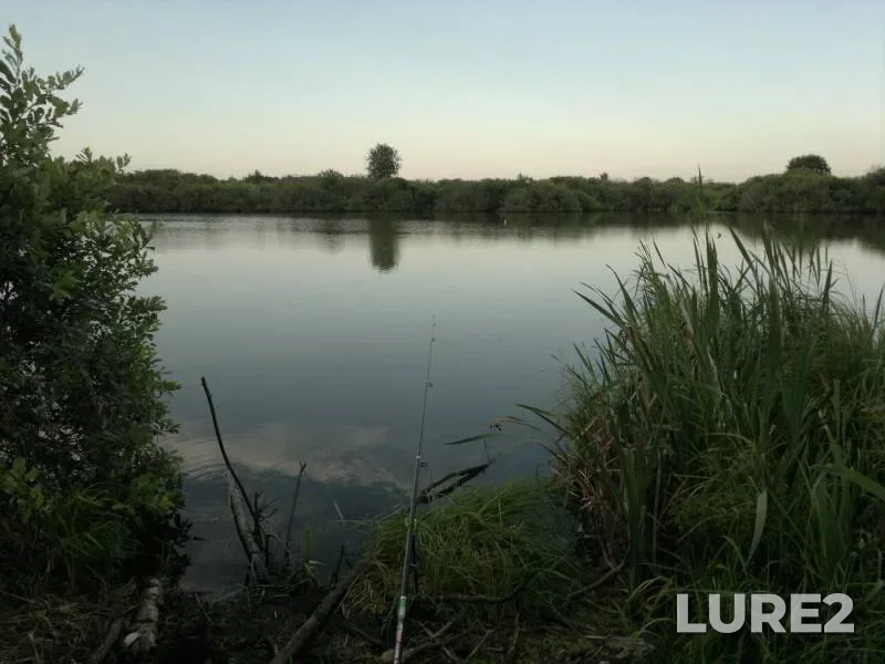 Crucian carp — Yevin, Jul 22, 2015
