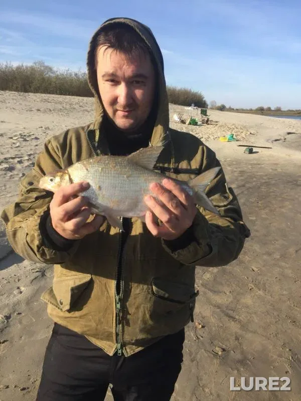 Bream, Burbot — Tura, Oct 11, 2017