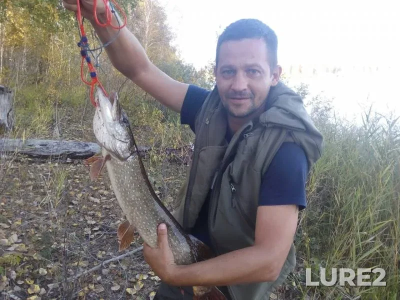 Pike — Kuliga, Apr 29, 2017