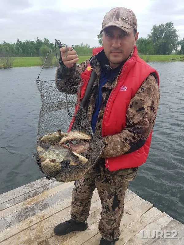 Carp, Crucian carp — Tobyl - Tobol, Jun 08, 2019