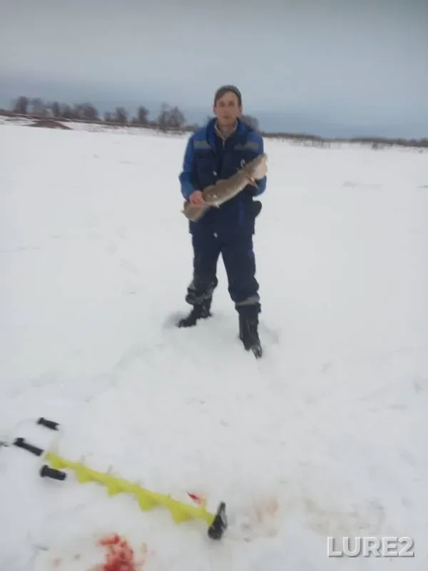 Burbot — Irtysh, Dec 08, 2019