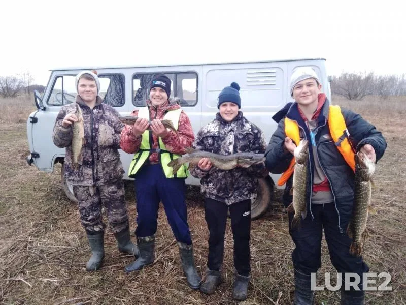 Pike — Volgogradskaya oblast, Mar 14, 2020
