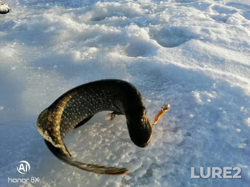 Pike — Tura, Dec 15, 2019