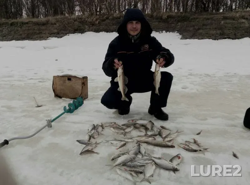 Bream, Zander — Tobyl - Tobol, Mar 07, 2020