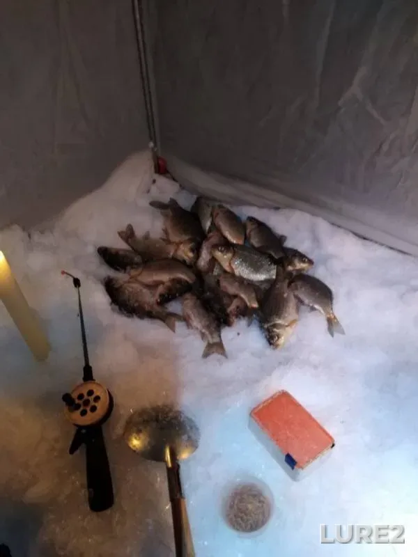 Crucian carp — Aplyatskoye, Feb 27, 2020