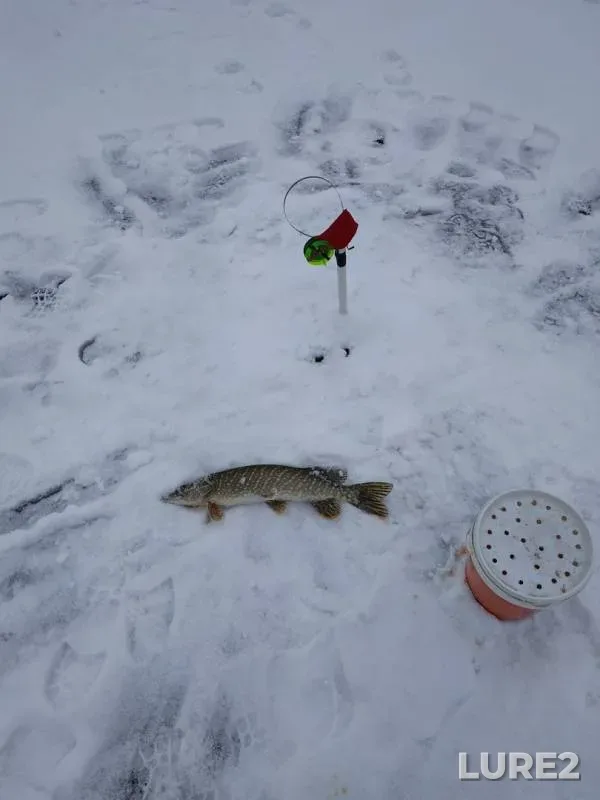 Pike — Tyumenskaya oblast, Dec 17, 2019