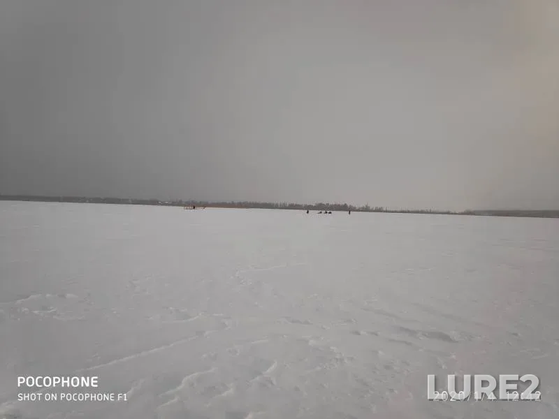 Perch — Andreyevskoye, Jan 04, 2020