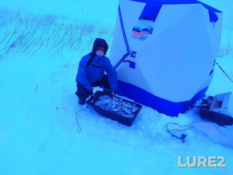 Perch — Vyalkovo, Jan 04, 2020