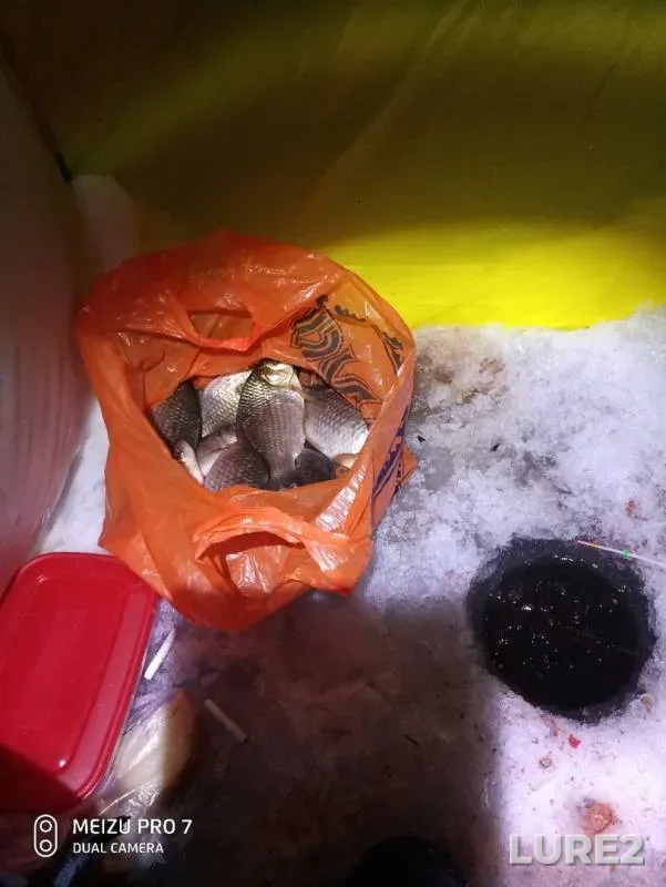 Crucian carp — Bolshoye Solovoye, Mar 26, 2020