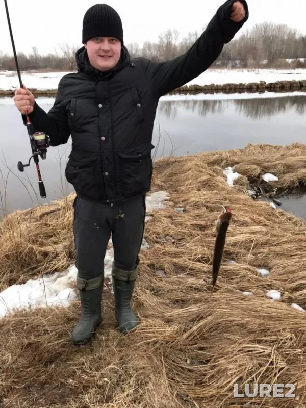 Pike — Obrochnoye, Mar 27, 2020