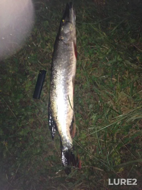 Pike — Isha, Aug 30, 2016