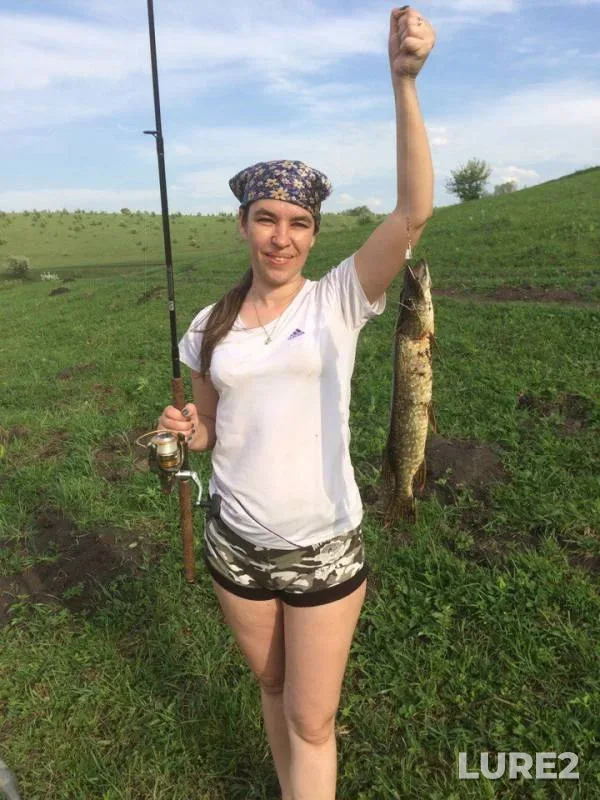 Pike — Puchina, May 15, 2017