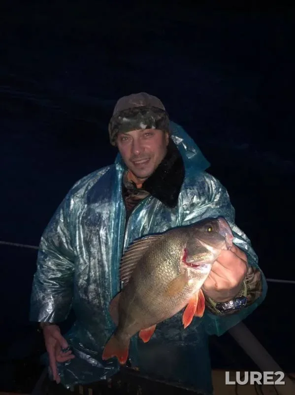 Perch — protoka Bolshaya Bogdashinskaya, Sep 23, 2019