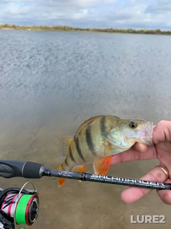 Ide, Perch — Goluboye, Sep 20, 2019