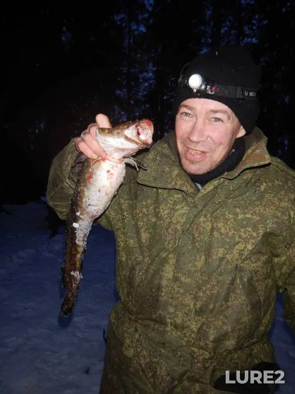 Burbot — Teldozero, Jan 07, 2020