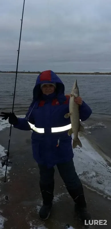 Pike — Tundrinskaya Kurya, Oct 20, 2019
